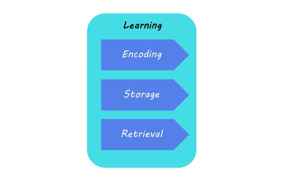 Article thumbnail: Neuroscience-Backed Strategies to Help You Learn More Effectively