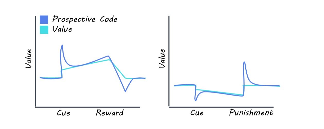 Article thumbnail: Cracking the Serotonin Code: How Your Brain Predicts Future Rewards