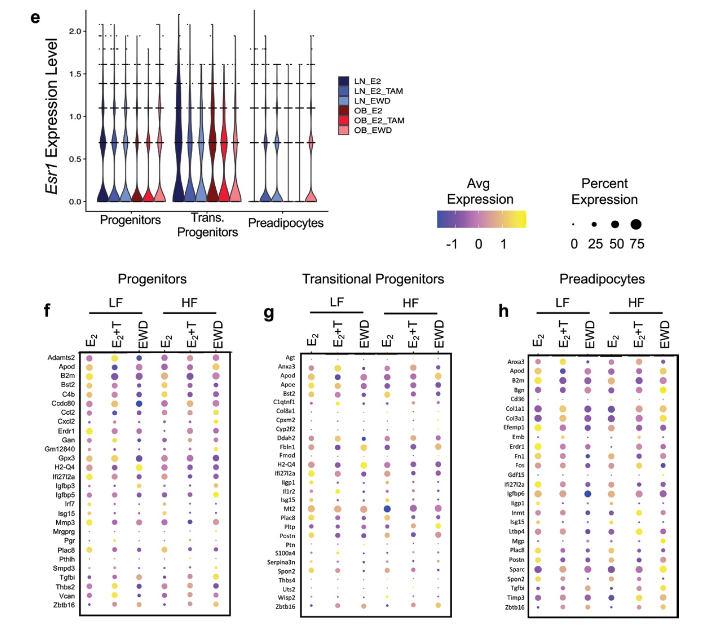 Article thumbnail: Breast Cancer Endocrine Therapy Promotes Weight Gain With Distinct Adipose Tissue Effects in Lean and Obese Female Mice